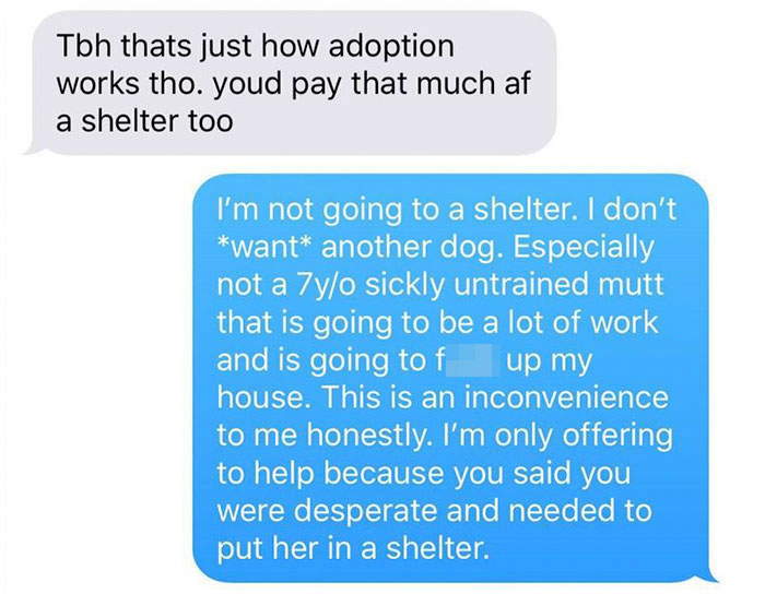 Old, Unwanted Dog Was About To Be 'Gassed' In Shelter, But When Someone Offered To Save It, Owner Demanded $450