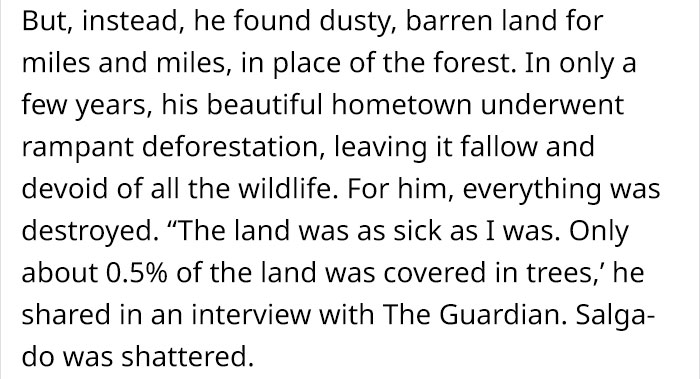 Photographer And His Wife Plant 2 Million Trees In 20 Years To Restore A Destroyed Forest And Even The Animals Have Returned Photographer And His Wife Plant 2 Million Trees In 20 Years To Restore A Destroyed Forest And Even The Animals Have Returned