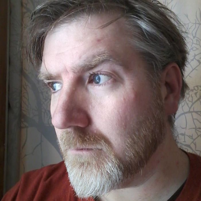 Man Creates Indoor Fake Tree For A Cat, And The Master Approves Of It