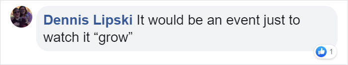 Man Creates Indoor Fake Tree For A Cat, And The Master Approves Of It