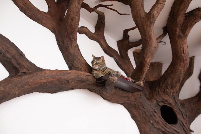 Man Creates Indoor Fake Tree For A Cat, And The Master Approves Of It
