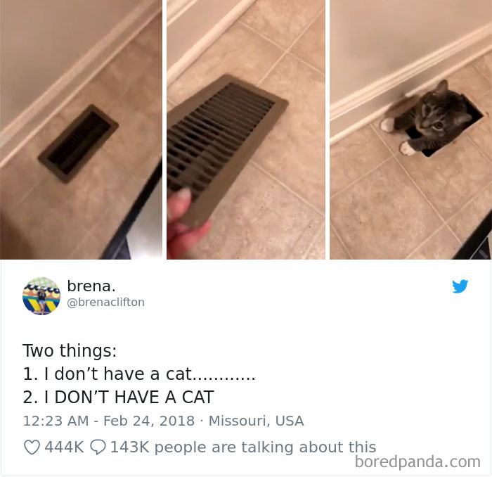 Cat Tweets