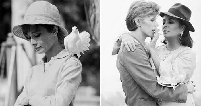 68 Nostalgic Images Of The Greatest Pop Culture Legends In History Shared By Morrison Hotel Gallery