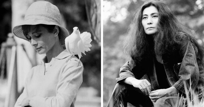 68 Nostalgic Images Of The Greatest Pop Culture Legends In History Shared By Morrison Hotel Gallery