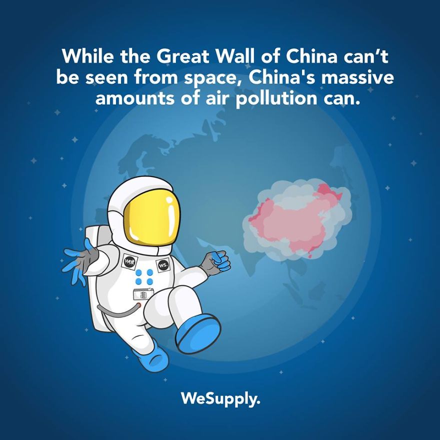 We Created 40 Informative Illustrations About Environmental Issues