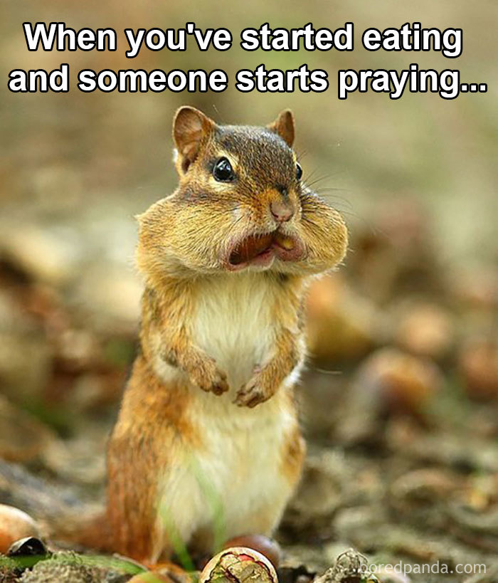 Funny Christian meme with a chipmunk pausing mid-bite with text "When you've started eating and someone starts praying."