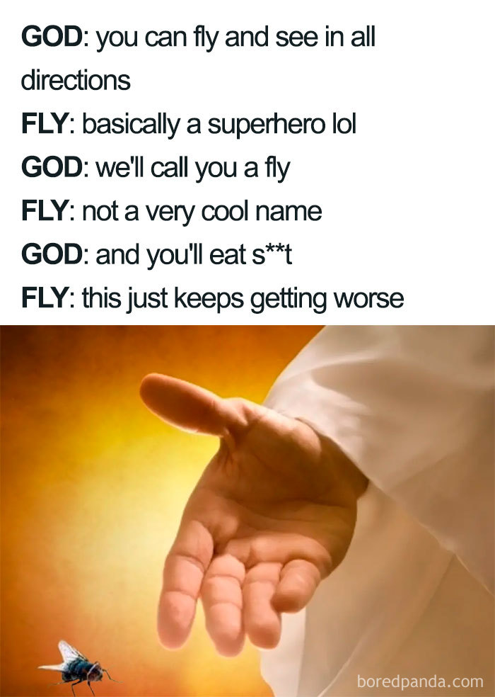 Funny Christian meme with God talking to a fly about its abilities and unappealing name.