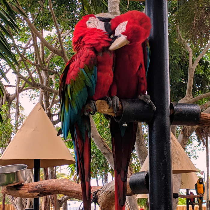 I Show The Beauty Around Me