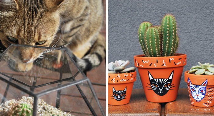 I Create Things For Cat & Plant Lovers And It Started With A Giant Pot