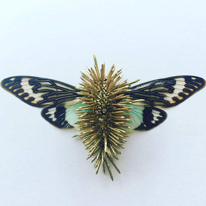 Cicada Art - Body Armour 1