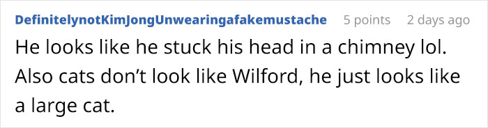 Meet 'Dirt', The Nevada Railway Cat That Always Looks Like He Needs A Bath