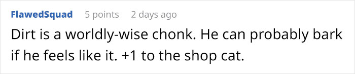 Meet 'Dirt', The Nevada Railway Cat That Always Looks Like He Needs A Bath