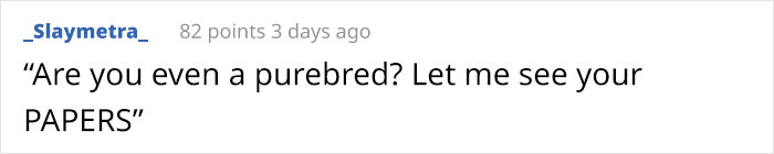 Funny-Dog-Photo-Captions