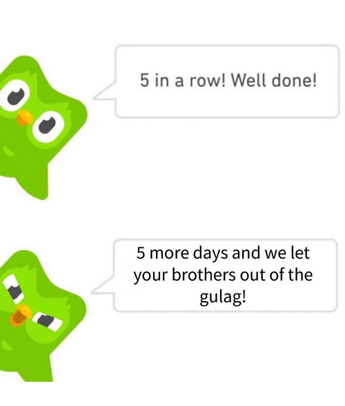Duolingo meme with owl encouraging streak, humorously referencing a g***g for motivation.