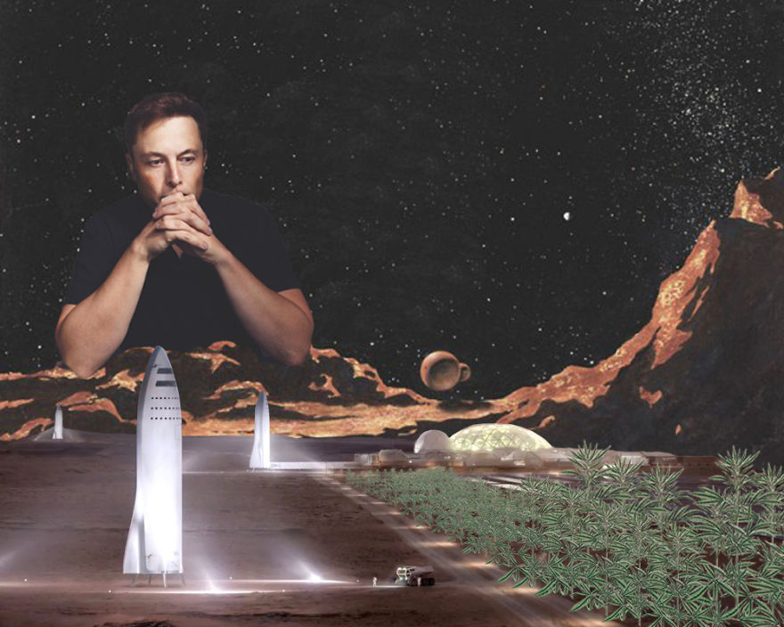 I Learned Elon's Plan