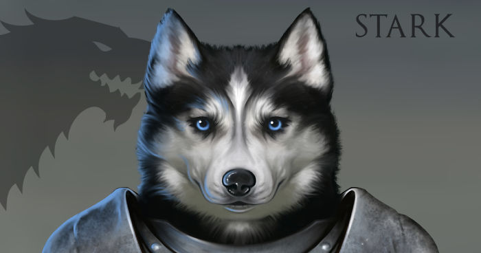 I Drew The Great Houses Of Westeros As Doggos