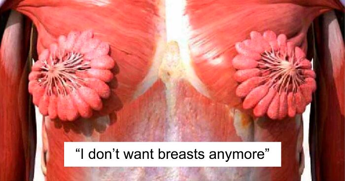 People Can’t Believe This Photo Of Female Milk Glands Is Real