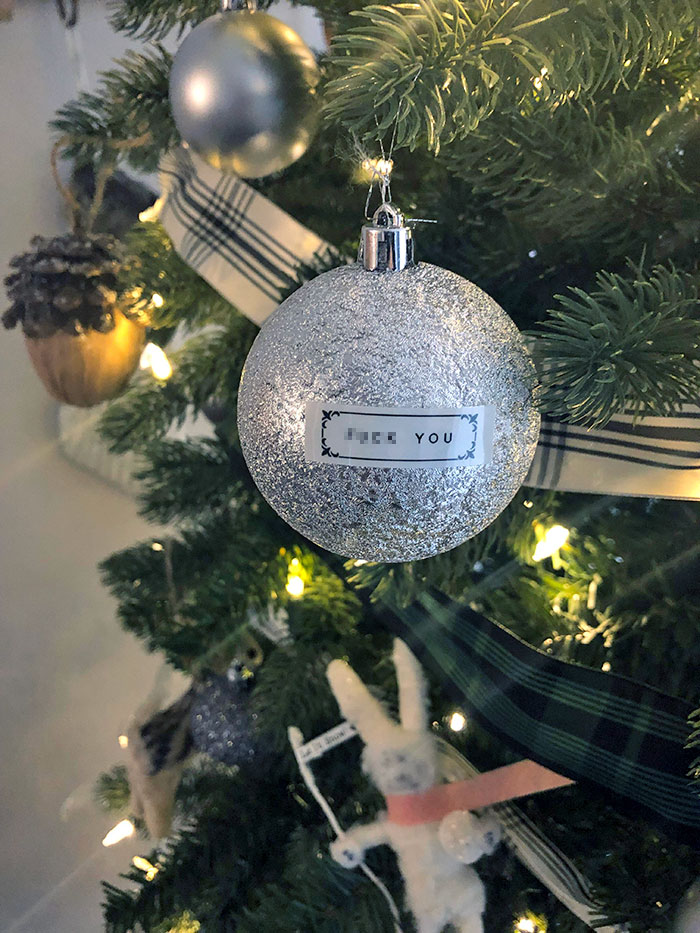 I Sneak This Ornament Onto My Wife’s Meticulously Decorated Tree Every Christmas. She Has Yet To Notice In 3 Years
