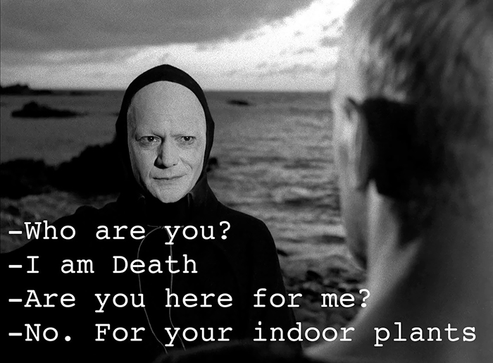 My Husband Sent This To Me Today. The Feeling Was All Too Real After My Split Rock Randomly Perished