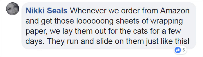 Video Of Cat Going Crazy In A Room Full Of Toilet Paper Goes Viral Video Of Cat Going Crazy In A Room Full Of Toilet Paper Goes Viral