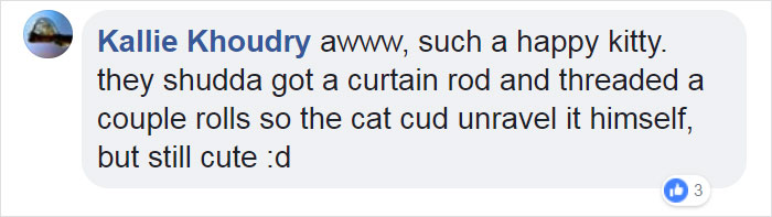 Video Of Cat Going Crazy In A Room Full Of Toilet Paper Goes Viral