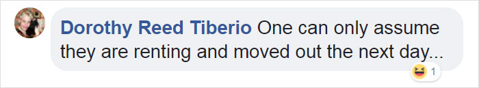 Video Of Cat Going Crazy In A Room Full Of Toilet Paper Goes Viral Video Of Cat Going Crazy In A Room Full Of Toilet Paper Goes Viral