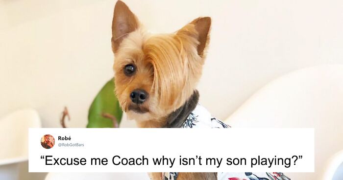 Someone Asks To Caption This Dog Picture, People Respond With 25 Hilarious Captions
