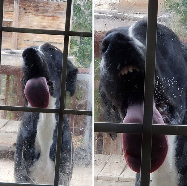 Jones Has A Desire To Be A Window Washer When He Grows Up