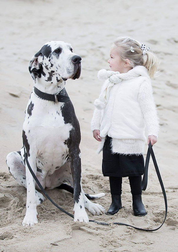 Let's Just Pretend They're The Same Size