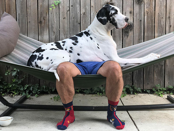 I Think I'll Lay Down Right Here