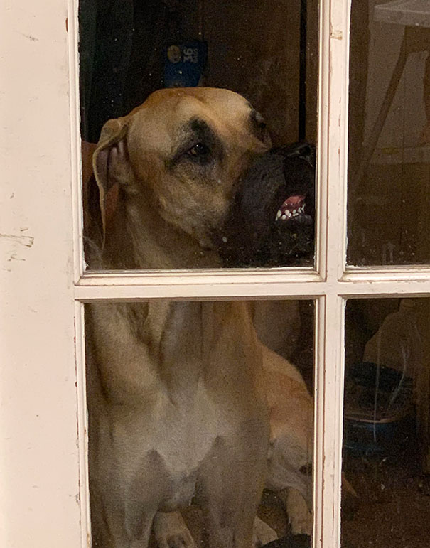 He's Not Just Any Derp. He's My Derp