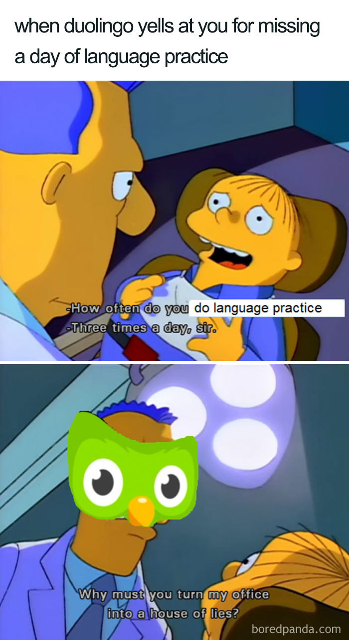 Duolingo bird meme showing a humorous interrogation scene about language practice frequency.