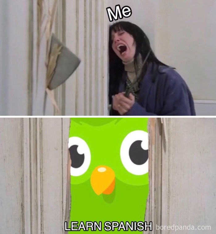 Person yelling as Duolingo owl bursts through a door with "LEARN SPANISH" text, depicting a funny meme scenario.