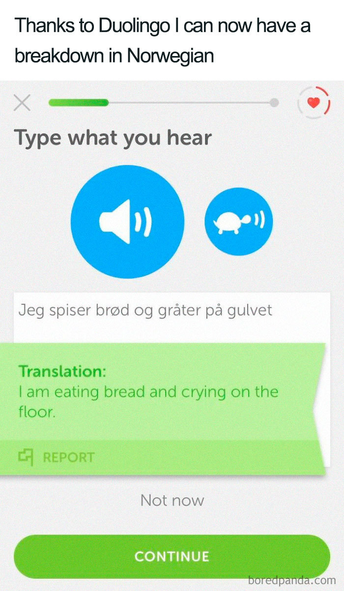 Duolingo meme with humorous Norwegian phrase, "I am eating bread and crying on the floor."