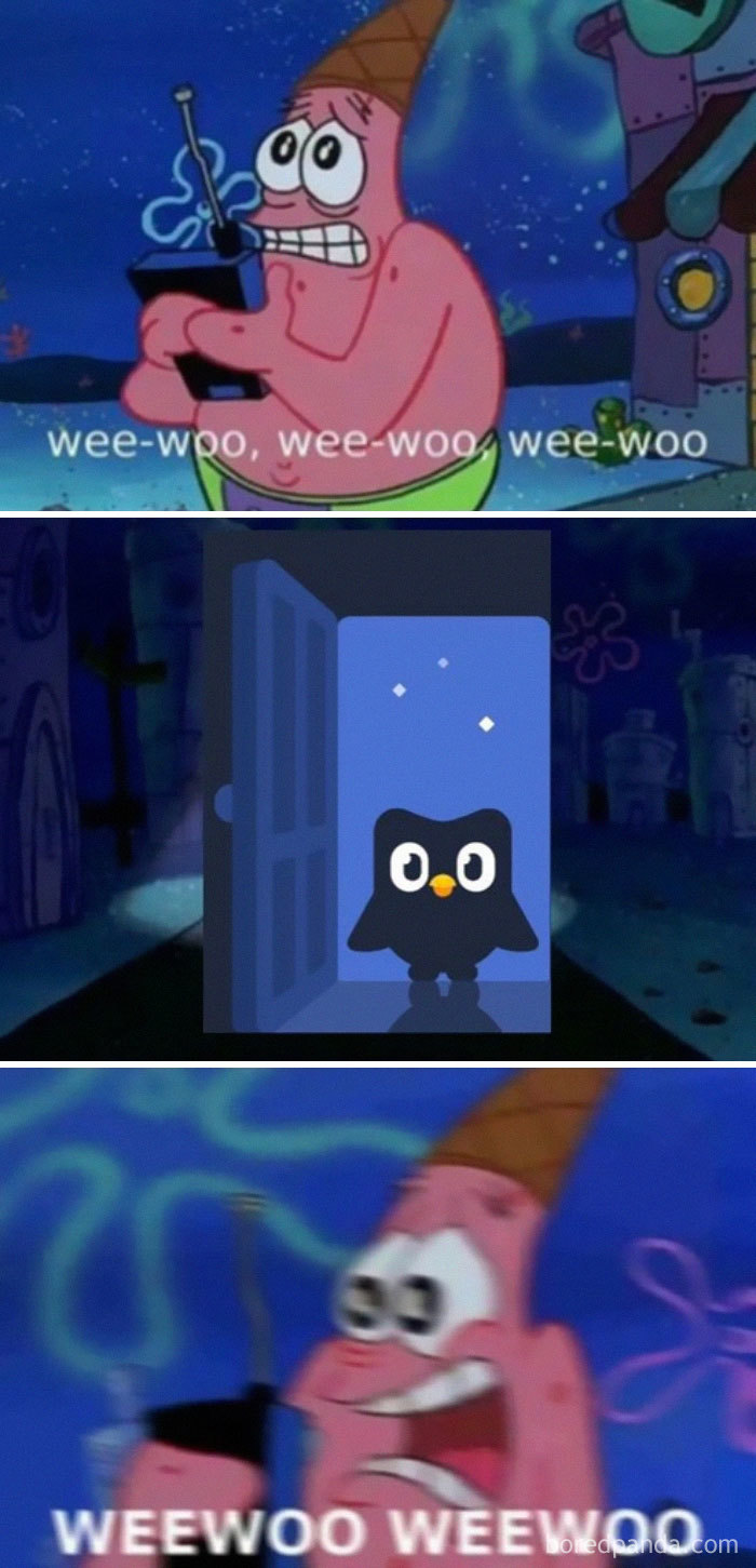 Patrick panicking with a radio as Duolingo owl appears in the doorway; a hilarious Duolingo meme moment.