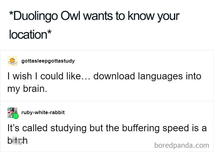 Duolingo meme with humorous text about downloading languages into the brain and slow buffering.