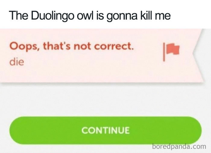 Duolingo meme featuring an incorrect answer message and joking about the Duolingo owl's intensity.