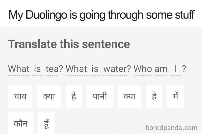 Duolingo meme with humorous sentence translation, asking profound questions like "Who am I?"