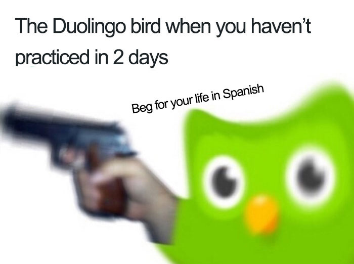 Duolingo bird meme showing a blurred bird with text about not practicing for two days.