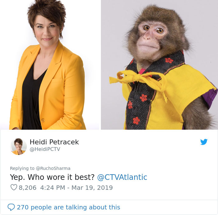 Someone Realizes This Monkey Looks Like Every Journalist And Real Journalists Confirm With 24 Pics