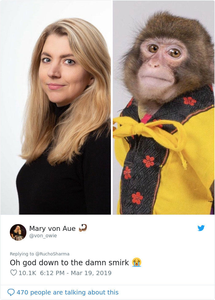 Someone Realizes This Monkey Looks Like Every Journalist And Real Journalists Confirm With 24 Pics