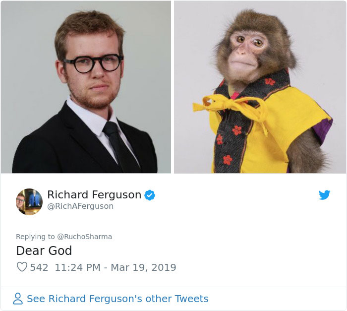 Someone Realizes This Monkey Looks Like Every Journalist And Real Journalists Confirm With 24 Pics Someone Realizes This Monkey Looks Like Every Journalist And Real Journalists Confirm With 24 Pics