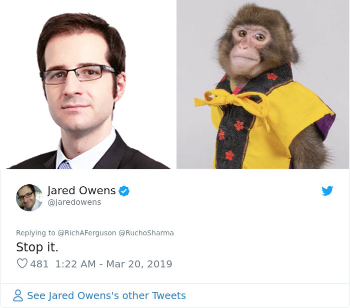 Someone Realizes This Monkey Looks Like Every Journalist And Real Journalists Confirm With 24 Pics Someone Realizes This Monkey Looks Like Every Journalist And Real Journalists Confirm With 24 Pics