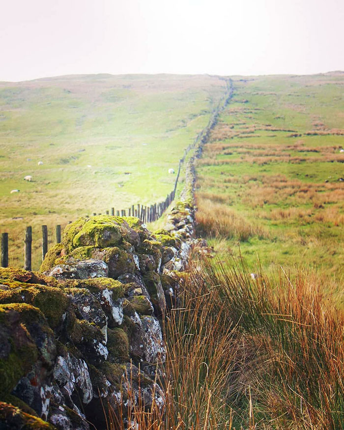 Stonewall In Knocklayd, Northern Ireland