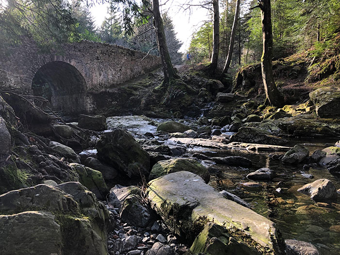 Tollymore Forest In Northern Ireland - The Place Where Is All Started Back In The First Season