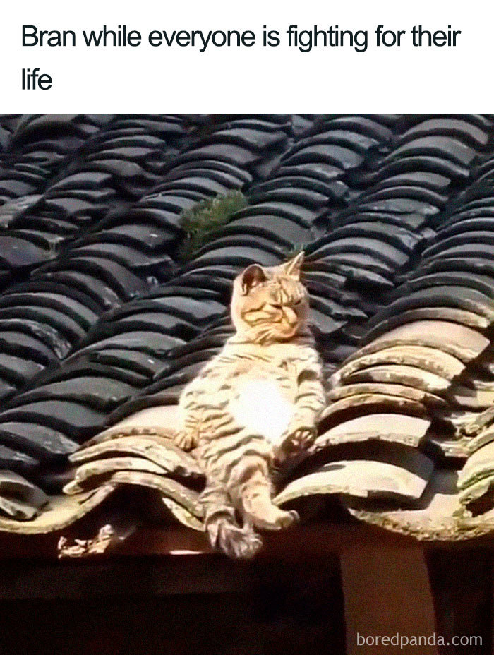 Game-Of-Thrones-Season-8-Episode-3-The-Long-Night-Funny-Reactions