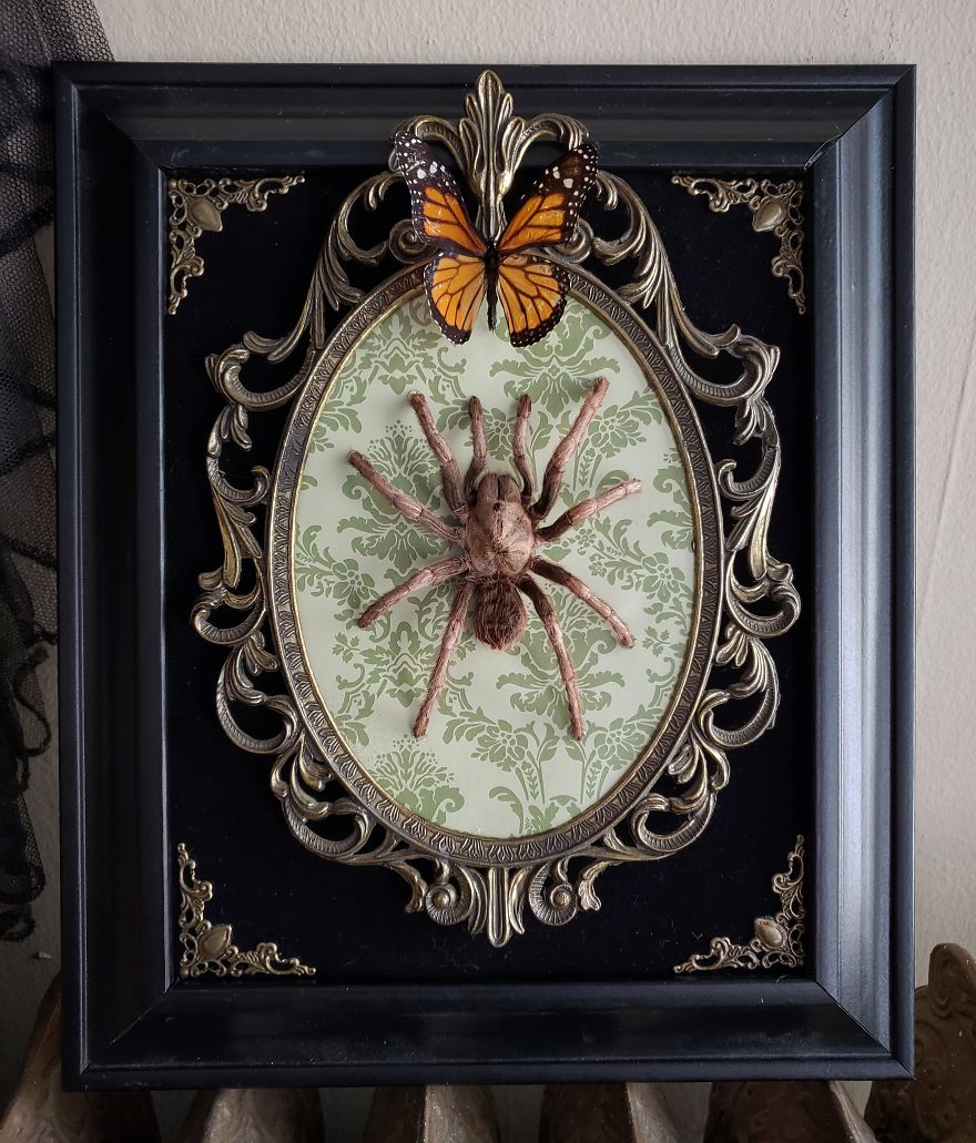 I Create Baroque And Gothic Wall Mounts Out Of Taxidermied Spiders I Create Baroque And Gothic Wall Mounts Out Of Taxidermied Spiders