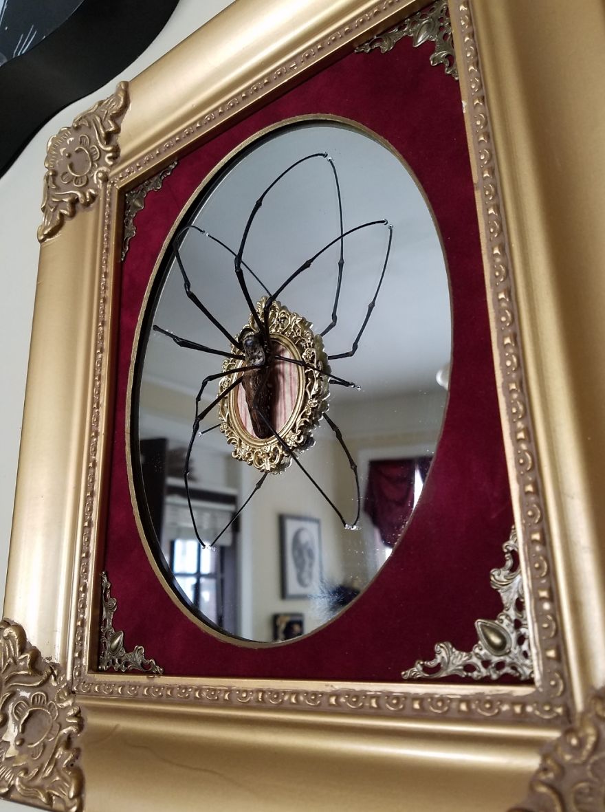 I Create Baroque And Gothic Wall Mounts Out Of Taxidermied Spiders I Create Baroque And Gothic Wall Mounts Out Of Taxidermied Spiders