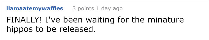 8 Hairless Guinea Pigs That You Could Mistake For Tiny Hippos