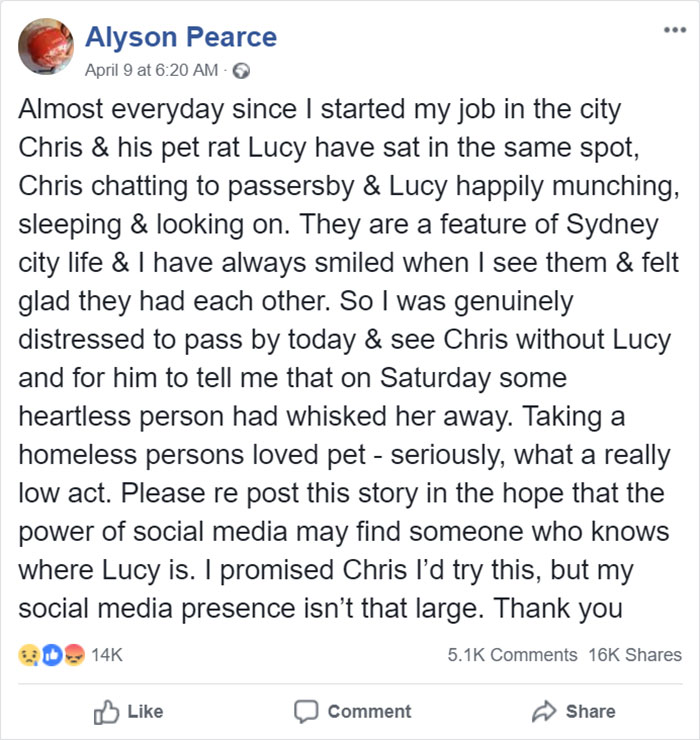 Homeless Man Asks People For Help After His Beloved Pet Rat Gets Stolen